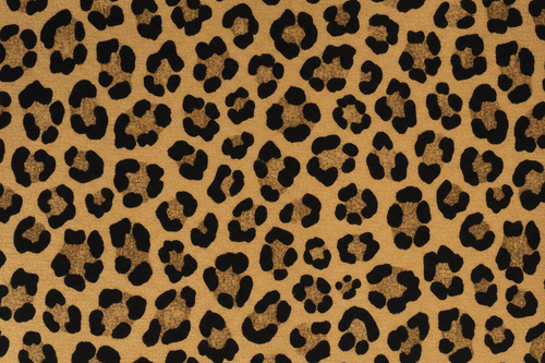 Cheetah print